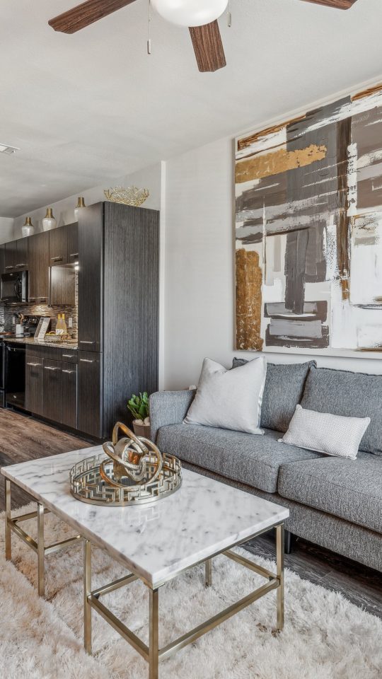 the living room has a gray couch and a gray coffee table at The Terra at University North Park